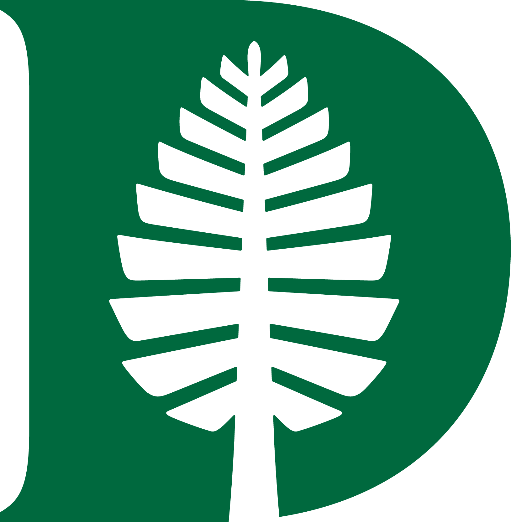 Dartmouth Pine